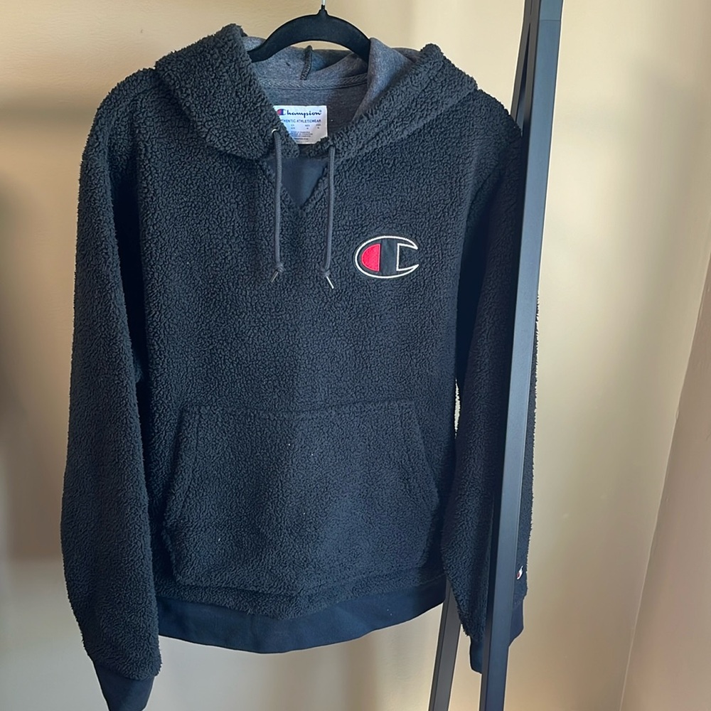 UO Champion Fuzzy Heavyweight Hoodie